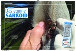 Artikel in „Mein Pferd„, Ausgabe Mai / 2010 Equine Sarkoid