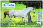Artikel in „Mein Pferd“, Ausgabe Juli / 2009 Hufrehe