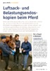 Artikel in Rheinlands Reiter 01/20 Luftsack- und Belastungsendoskopie