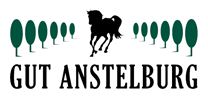 Anstelburg