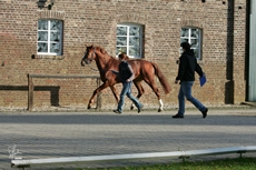 Vortrabstrecke